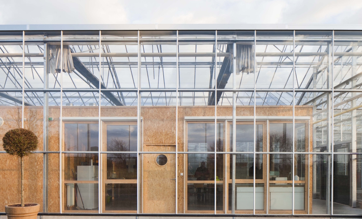 serres_horticoles_cholet-15