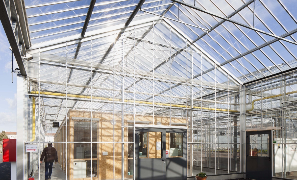 serres_horticoles_cholet-17