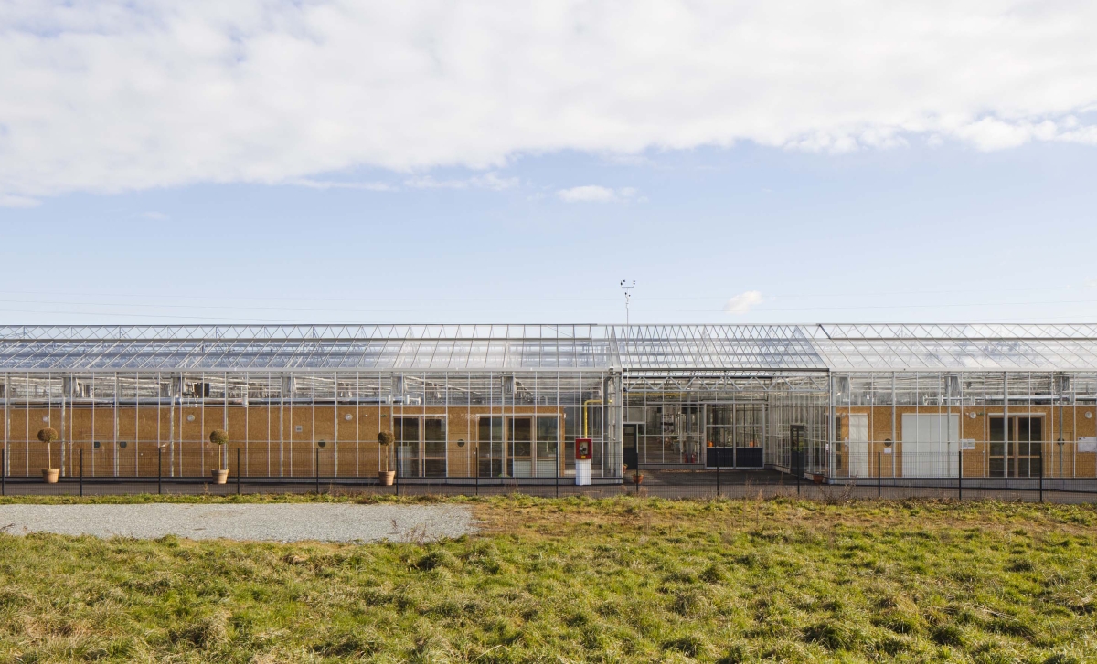 serres_horticoles_cholet-2