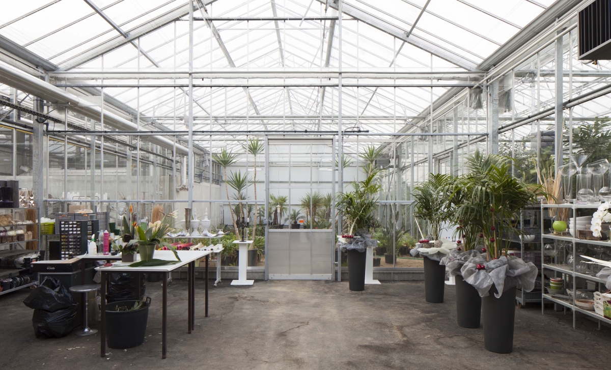 serres_horticoles_cholet-21