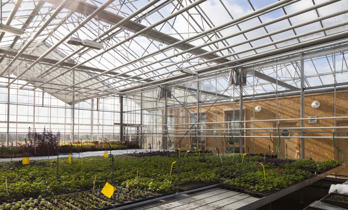 serres_horticoles_cholet-27