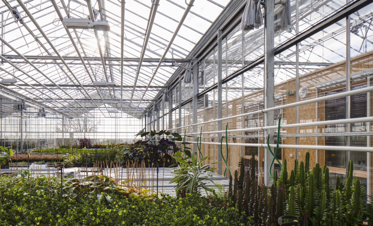 serres_horticoles_cholet-28