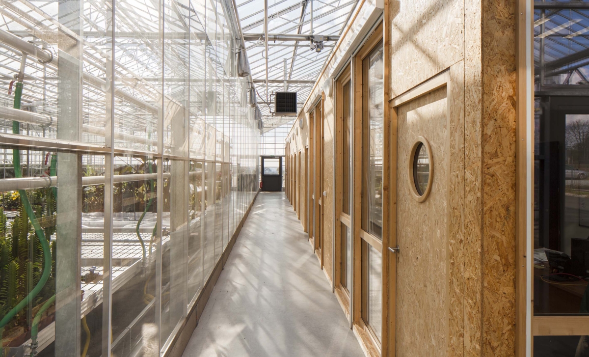 serres_horticoles_cholet-31