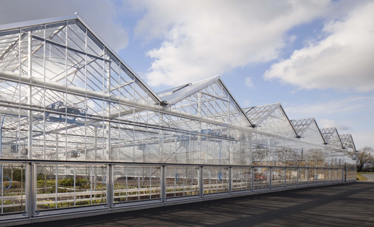 serres_horticoles_cholet-4