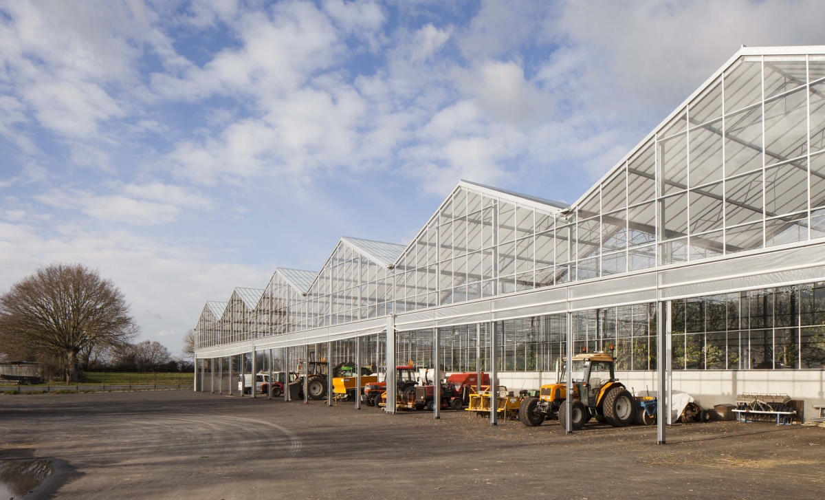 serres_horticoles_cholet-8
